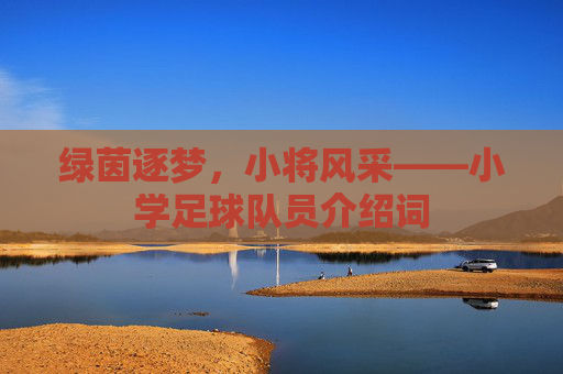 绿茵逐梦，小将风采——小学足球队员介绍词