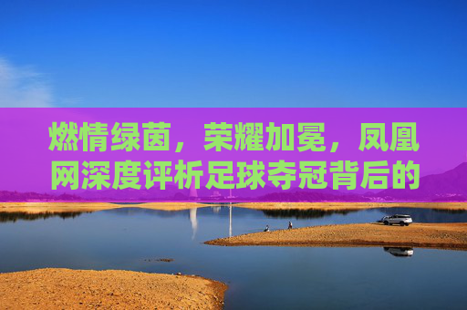 燃情绿茵,荣耀加冕,凤凰网深度评析足球夺冠背后的荣光与新生