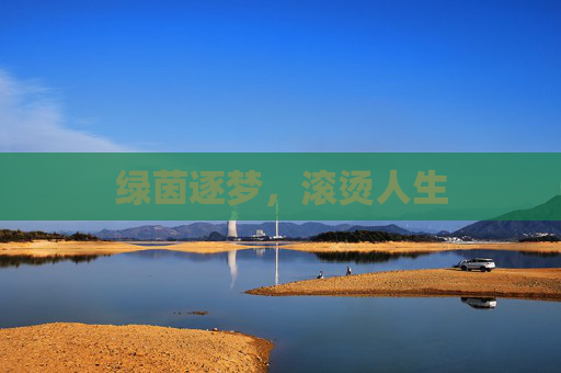 绿茵逐梦,滚烫人生
