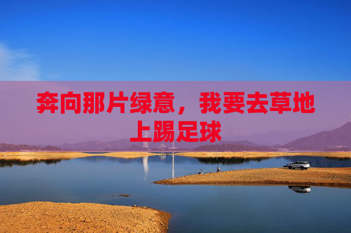 奔向那片绿意,我要去草地上踢足球