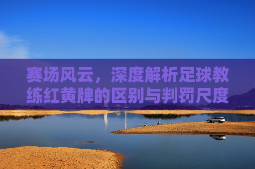 赛场风云,深度解析足球教练红黄牌的区别与判罚尺度