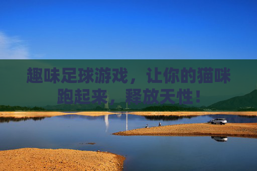 趣味足球游戏，让你的猫咪跑起来，释放天性！