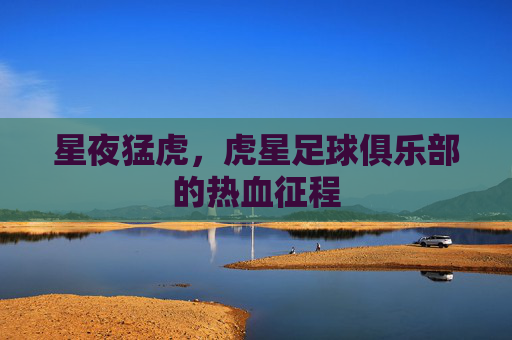 星夜猛虎,虎星足球俱乐部的热血征程