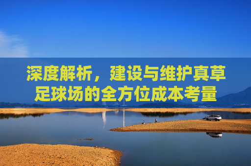 深度解析，建设与维护真草足球场的全方位成本考量