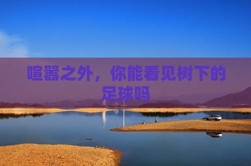 喧嚣之外，你能看见树下的足球吗
