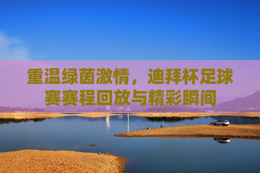 重温绿茵激情,迪拜杯足球赛赛程回放与精彩瞬间