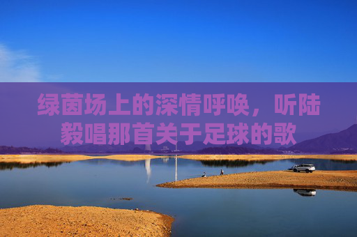绿茵场上的深情呼唤，听陆毅唱那首关于足球的歌