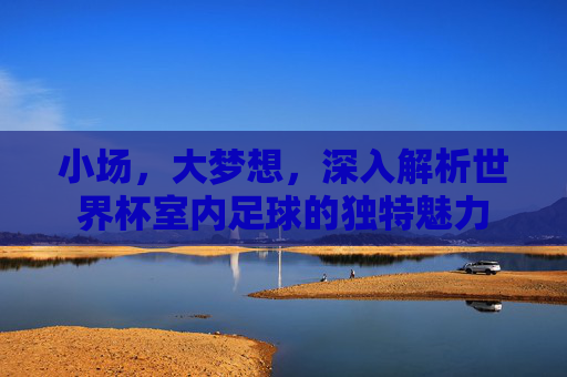 小场，大梦想，深入解析世界杯室内足球的独特魅力