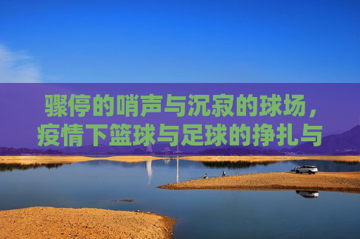 骤停的哨声与沉寂的球场，疫情下篮球与足球的挣扎与重生