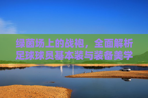 绿茵场上的战袍，全面解析足球球员基本装与装备美学