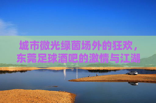 城市微光绿茵场外的狂欢，东莞足球酒吧的激情与江湖