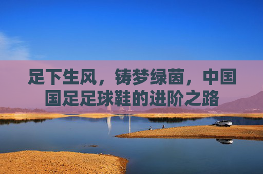 足下生风,铸梦绿茵,中国国足足球鞋的进阶之路