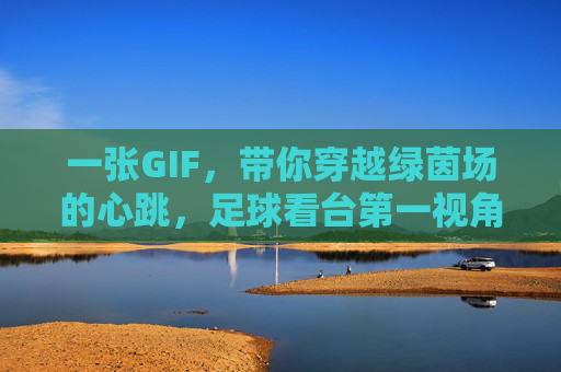 一张GIF，带你穿越绿茵场的心跳，足球看台第一视角里的热血与深情