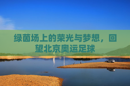 绿茵场上的荣光与梦想,回望北京奥运足球
