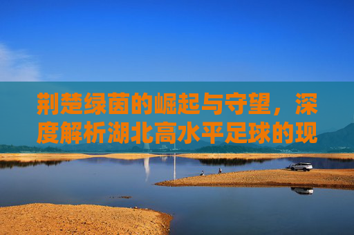 荆楚绿茵的崛起与守望,深度解析湖北高水平足球的现状与未来