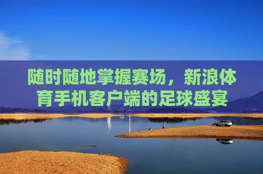 随时随地掌握赛场,新浪体育手机客户端的足球盛宴