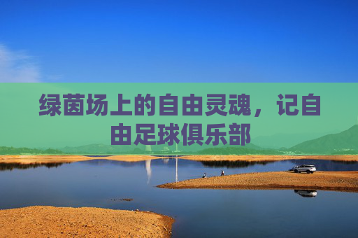 绿茵场上的自由灵魂,记自由足球俱乐部