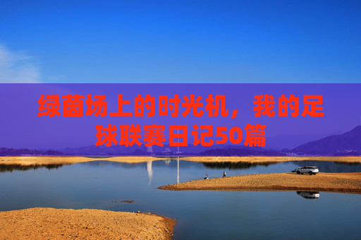 绿茵场上的时光机，我的足球联赛日记50篇