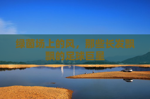 绿茵场上的风,那些长发飘飘的足球巨星