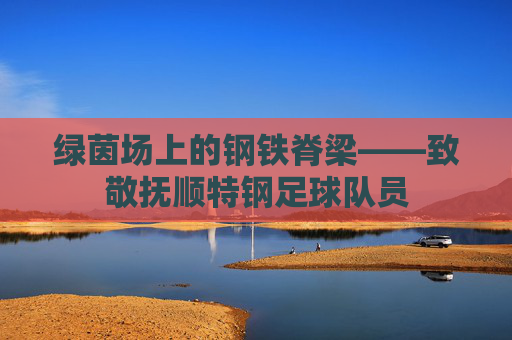 绿茵场上的钢铁脊梁——致敬抚顺特钢足球队员