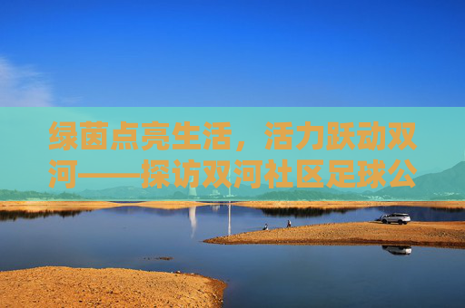绿茵点亮生活,活力跃动双河——探访双河社区足球公园