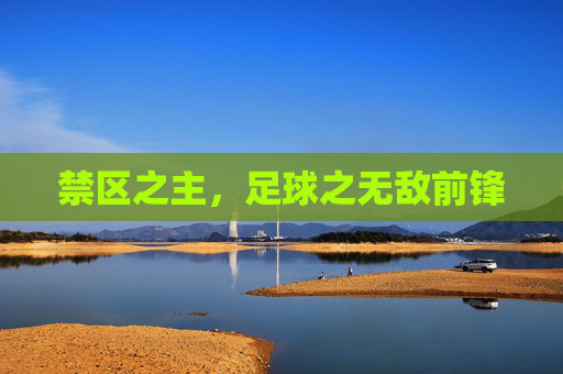 禁区之主，足球之无敌前锋