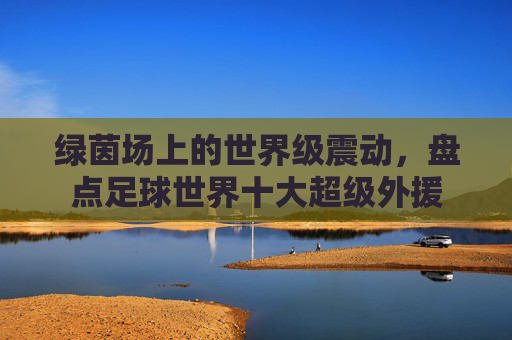 绿茵场上的世界级震动,盘点足球世界十大超级外援