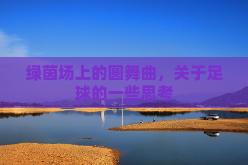 绿茵场上的圆舞曲，关于足球的一些思考