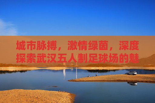 城市脉搏，激情绿茵，深度探索武汉五人制足球场的魅力
