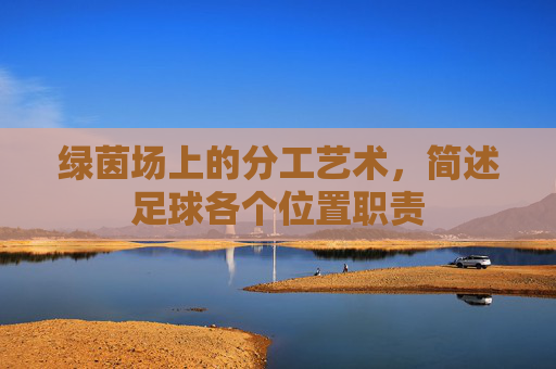 绿茵场上的分工艺术，简述足球各个位置职责