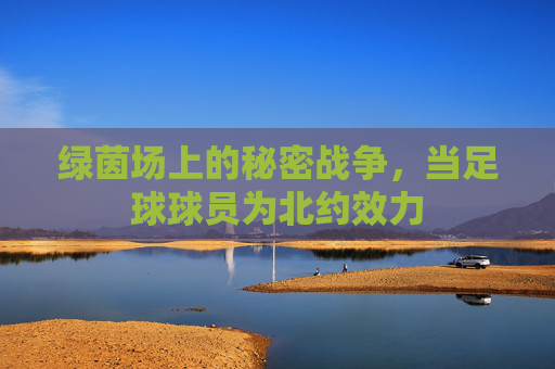 绿茵场上的秘密战争，当足球球员为北约效力