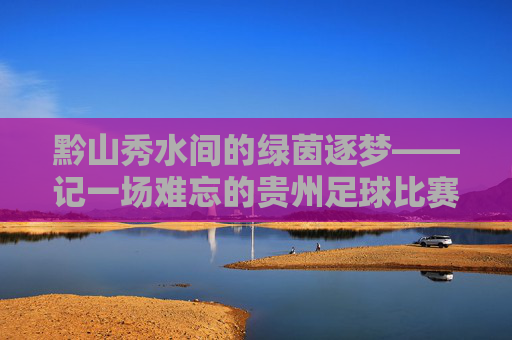 黔山秀水间的绿茵逐梦——记一场难忘的贵州足球比赛