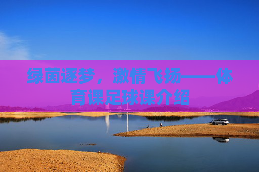 绿茵逐梦，激情飞扬——体育课足球课介绍