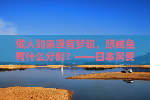 做人如果没有梦想，跟咸鱼有什么分别？——日本网民眼中的少林足球