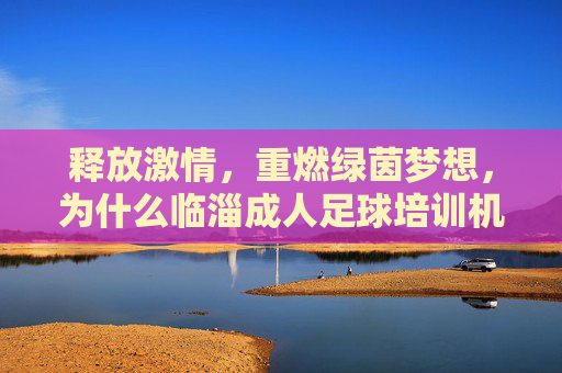 释放激情，重燃绿茵梦想，为什么临淄成人足球培训机构是最佳选择