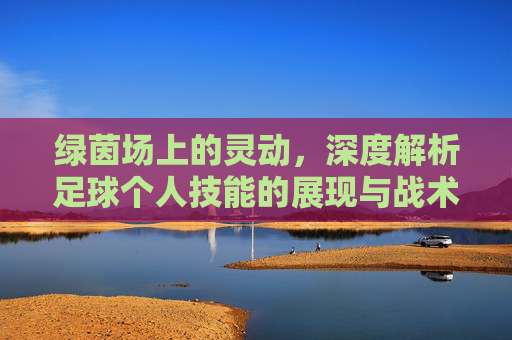 绿茵场上的灵动，深度解析足球个人技能的展现与战术价值