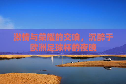 激情与荣耀的交响，沉醉于欧洲足球杯的夜晚