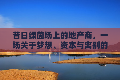 昔日绿茵场上的地产商，一场关于梦想、资本与离别的狂欢