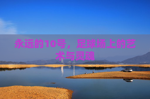 永远的10号，足球场上的艺术与灵魂