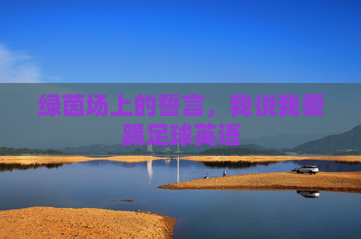 绿茵场上的誓言，我说我要踢足球英语