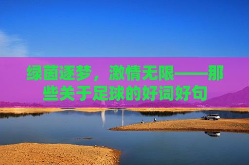 绿茵逐梦，激情无限——那些关于足球的好词好句