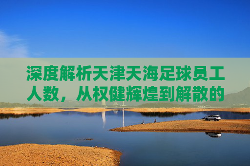 深度解析天津天海足球员工人数，从权健辉煌到解散的缩影