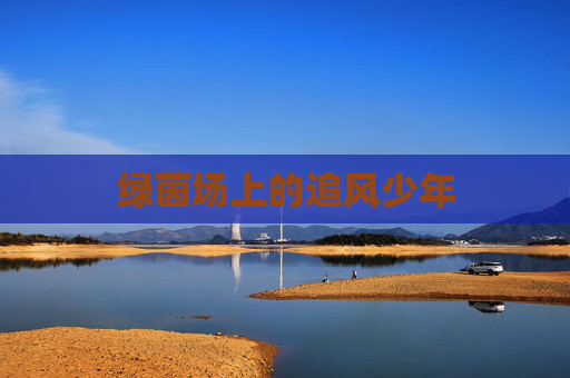 绿茵场上的追风少年