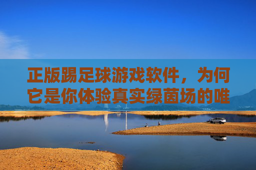 正版踢足球游戏软件，为何它是你体验真实绿茵场的唯一选择