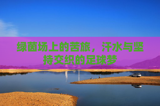 绿茵场上的苦旅，汗水与坚持交织的足球梦