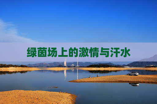 绿茵场上的激情与汗水