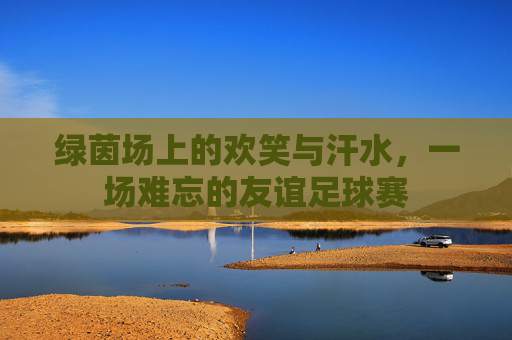 绿茵场上的欢笑与汗水，一场难忘的友谊足球赛