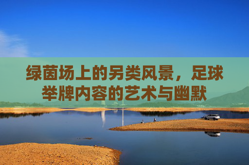 绿茵场上的另类风景，足球举牌内容的艺术与幽默