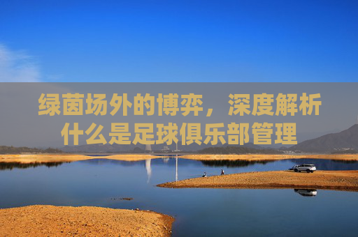 绿茵场外的博弈，深度解析什么是足球俱乐部管理