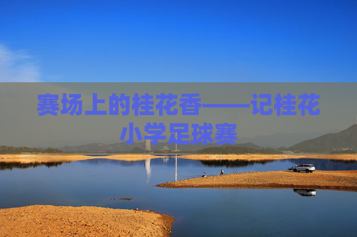 赛场上的桂花香——记桂花小学足球赛
